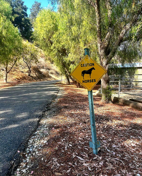 mckinley_1 image ~ Altpins