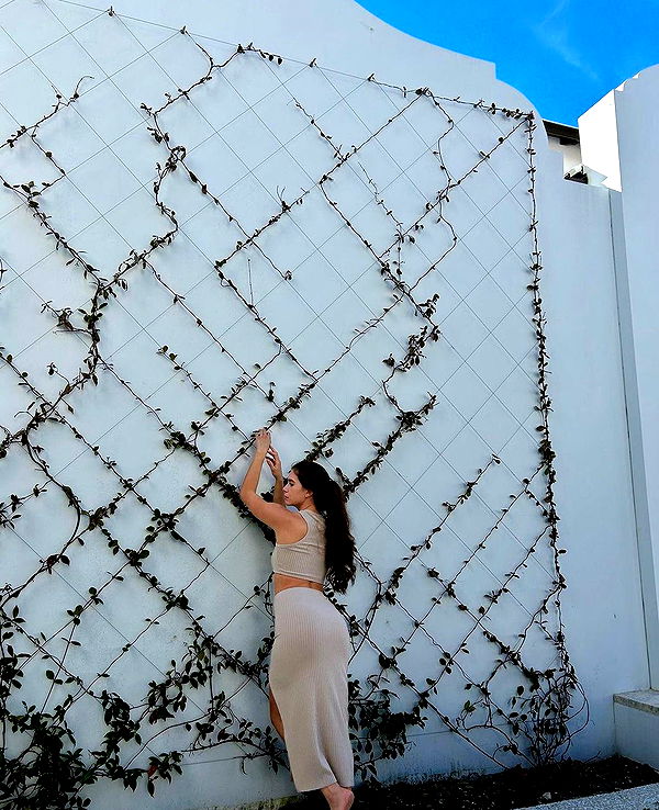 mckinley_1 image ~ Altpins