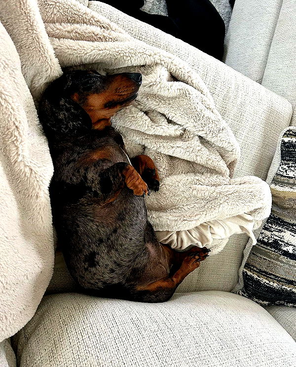 mckinley_1 image ~ Altpins