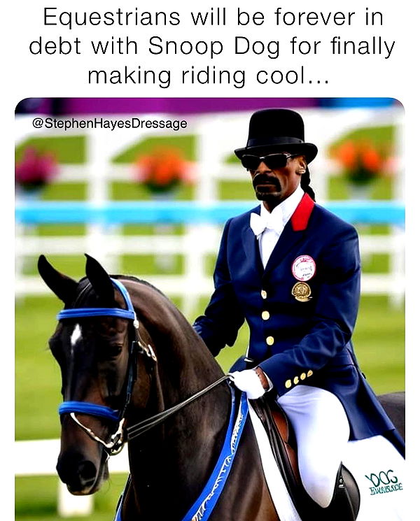 mckinley_1 image ~ Altpins