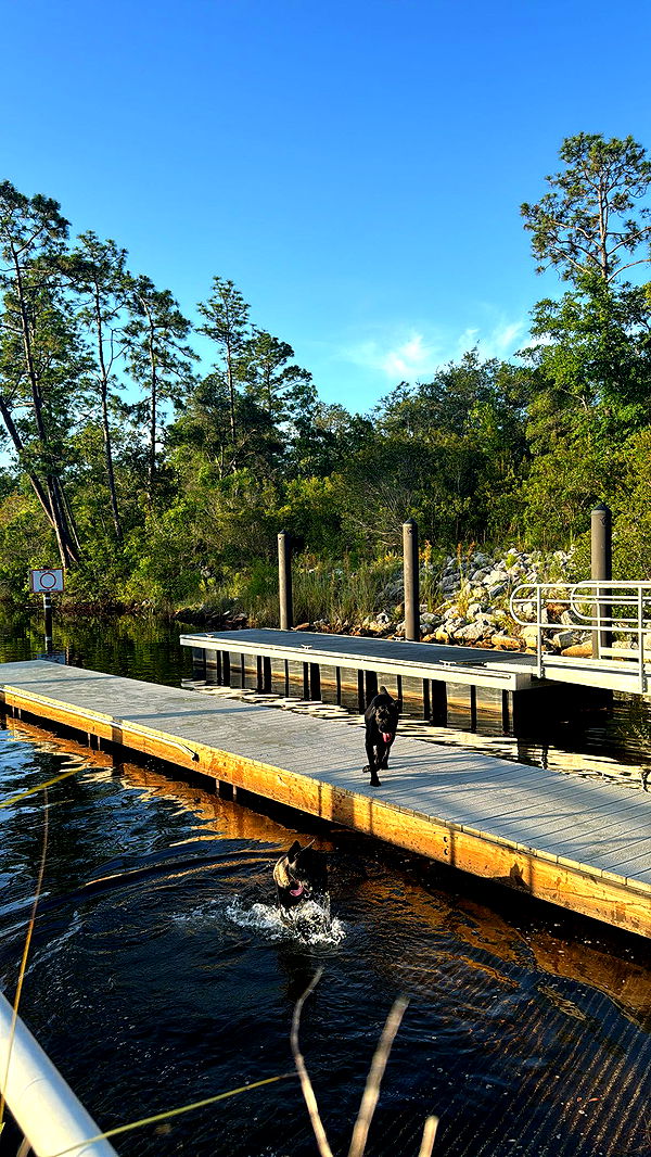 mckinley_1 image ~ Altpins