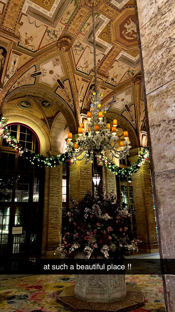 mckinley_1 image ~ Altpins