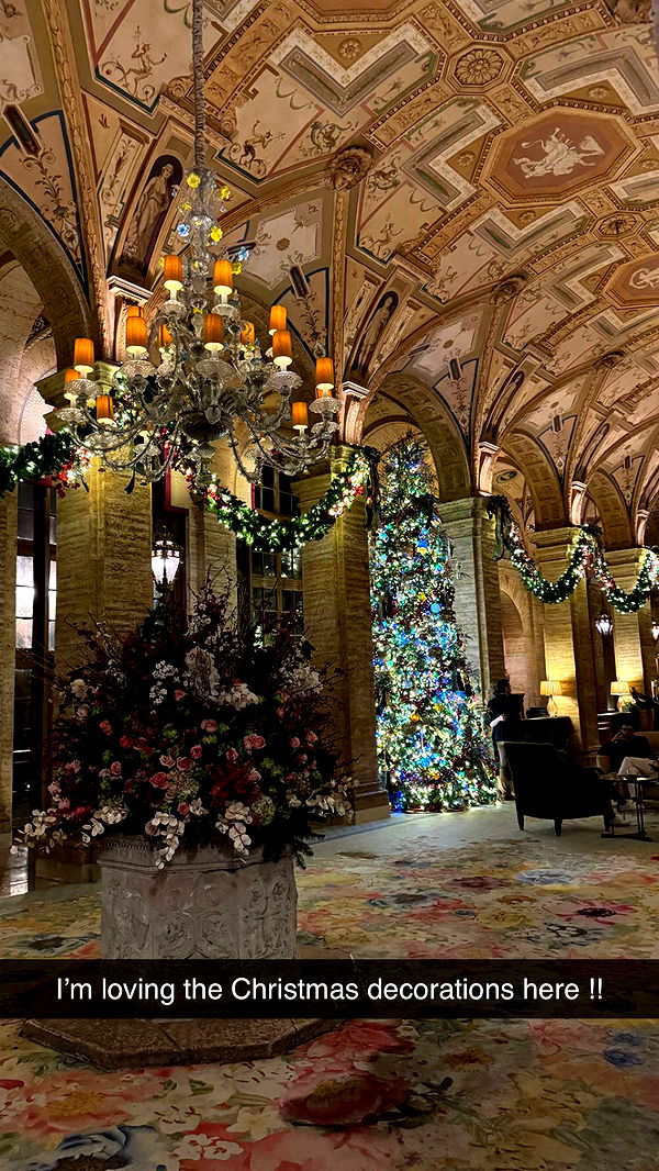 mckinley_1 image ~ Altpins