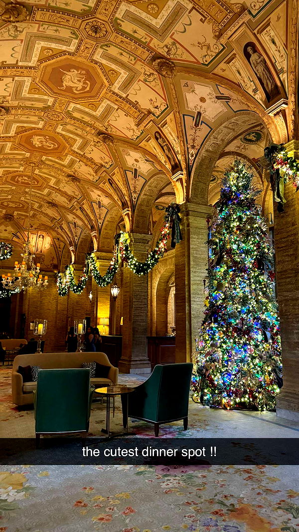 mckinley_1 image ~ Altpins