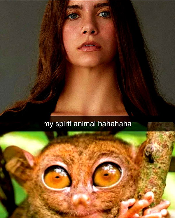 mckinley_1 image ~ Altpins