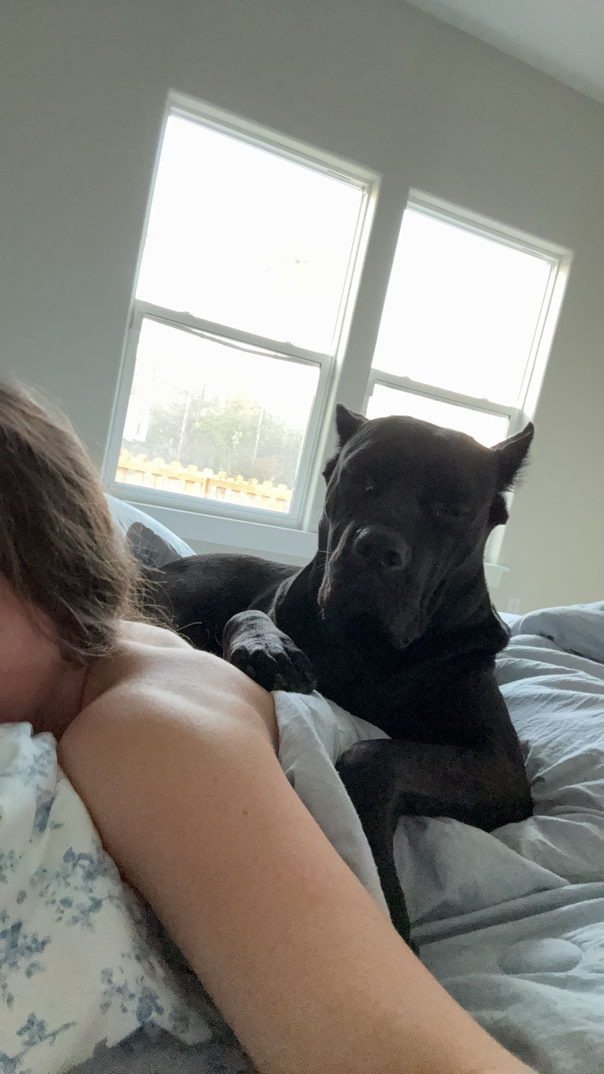 mckinley_1 snapchat image archive image