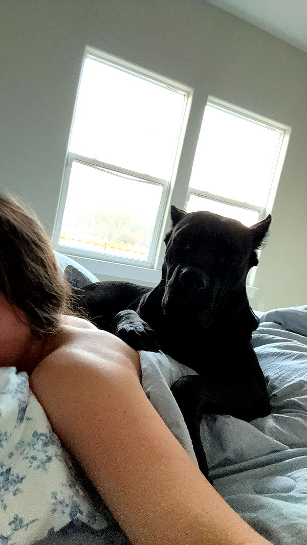 mckinley_1 image ~ Altpins