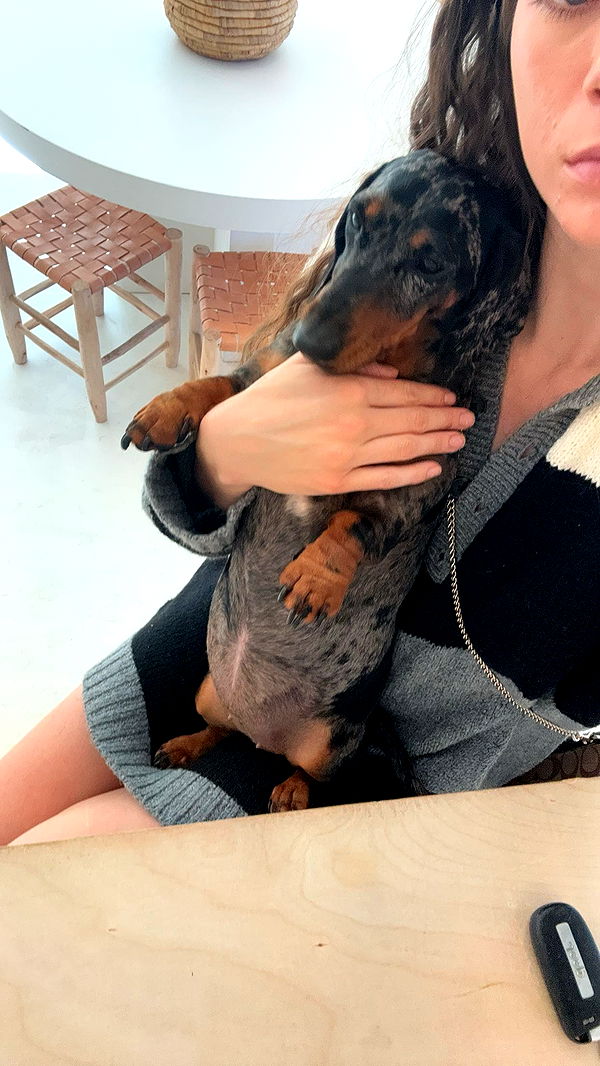 mckinley_1 image ~ Altpins