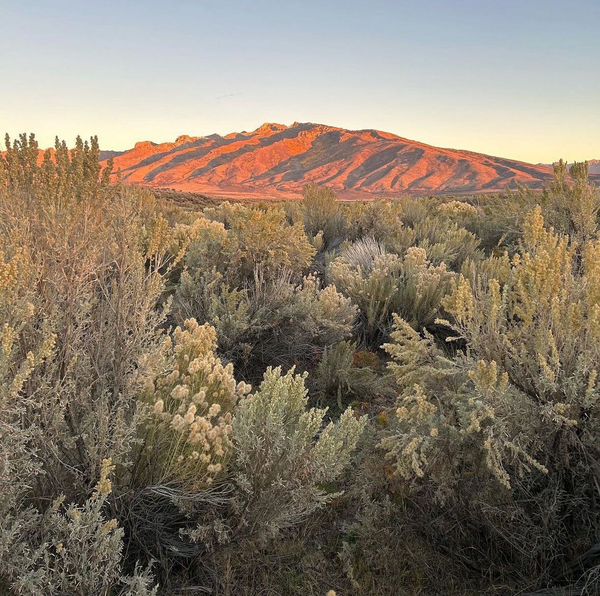 mckinley_1 snapchat image archive image