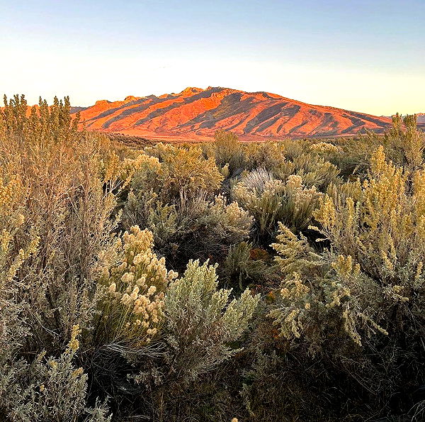 mckinley_1 image ~ Altpins