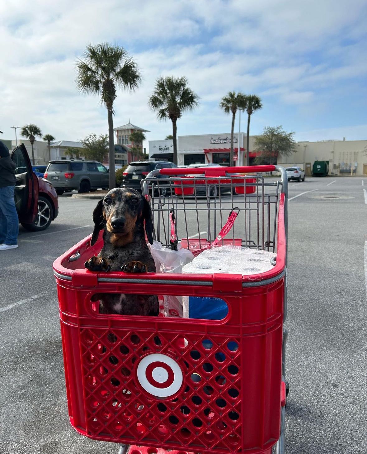 mckinley_1 snapchat image archive image