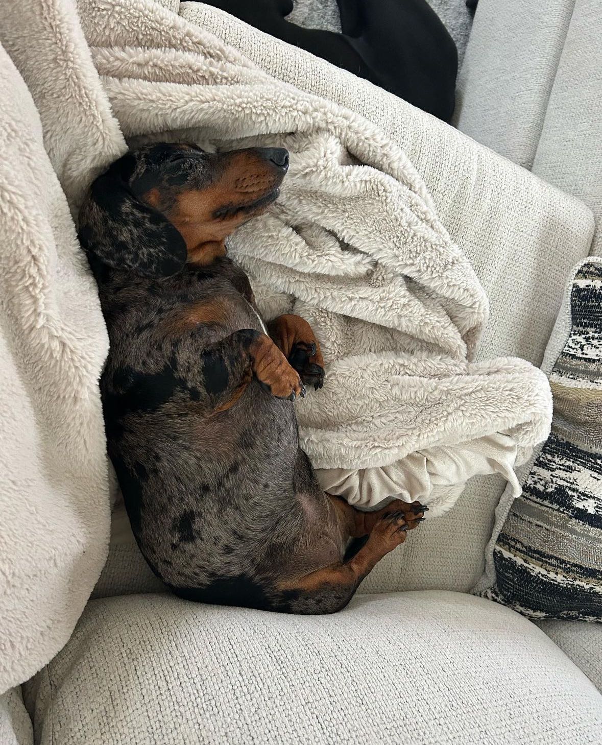 mckinley_1 snapchat image archive image