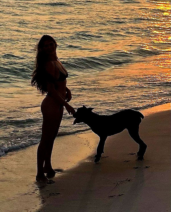 mckinley_1 image ~ Altpins