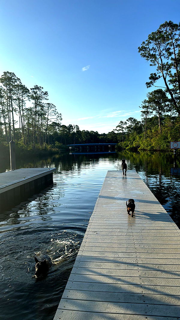 mckinley_1 image ~ Altpins