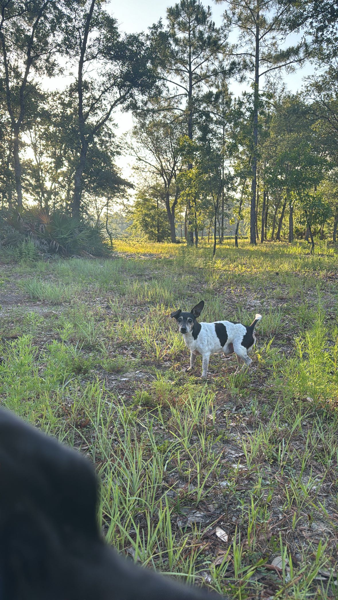 mckinley_1 snapchat image archive image