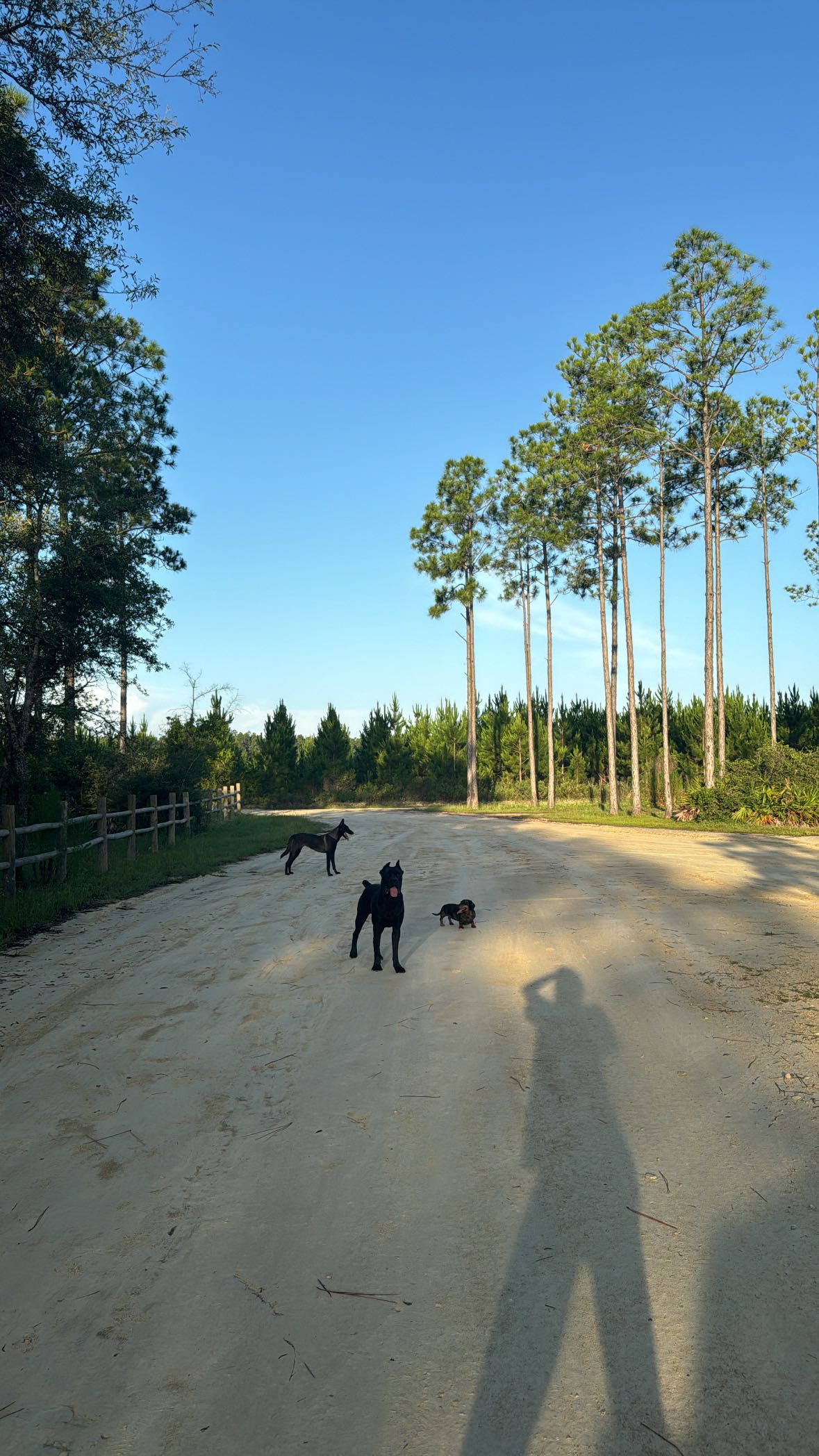 mckinley_1 snapchat image archive image