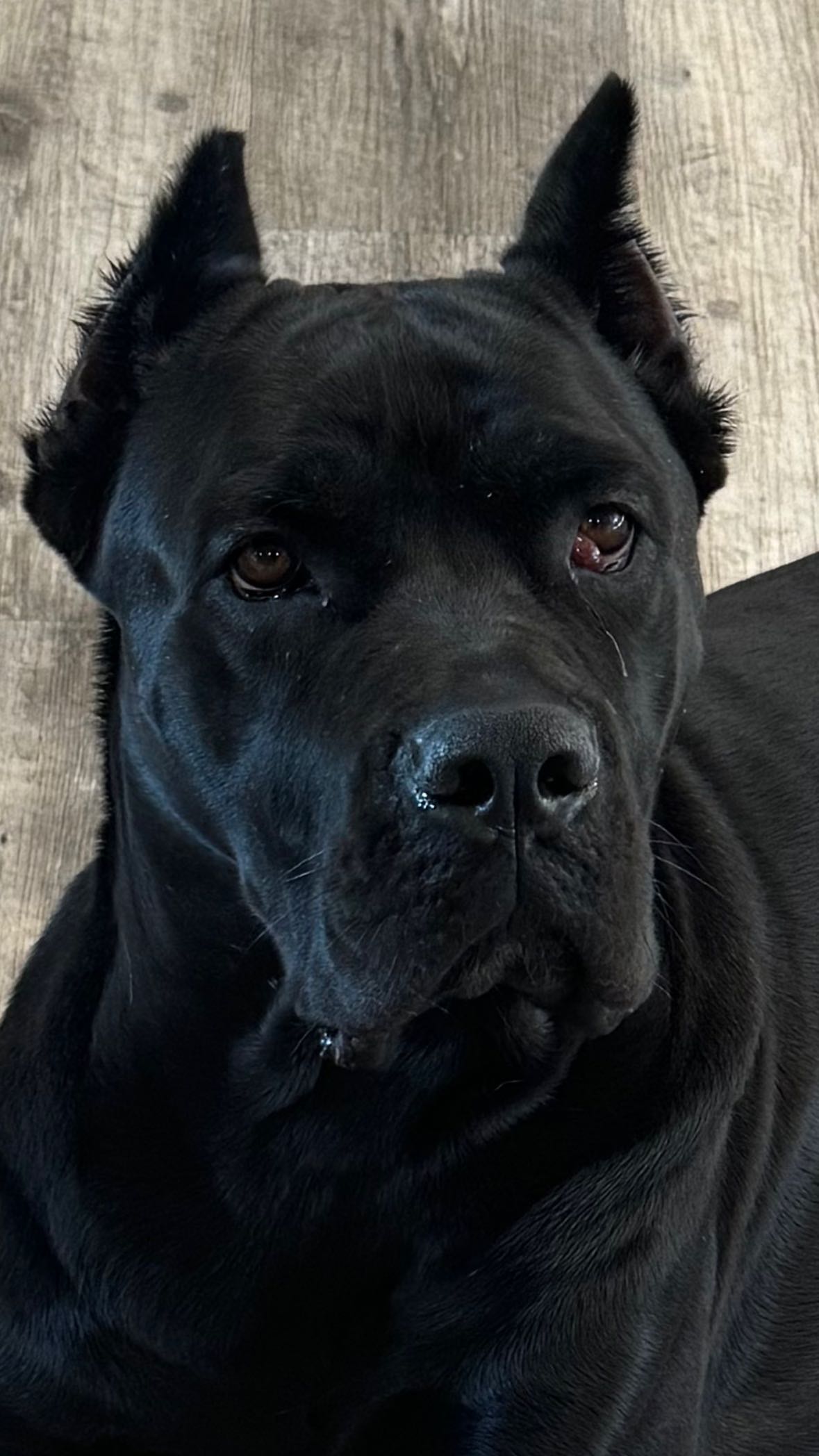 mckinley_1 snapchat image archive image