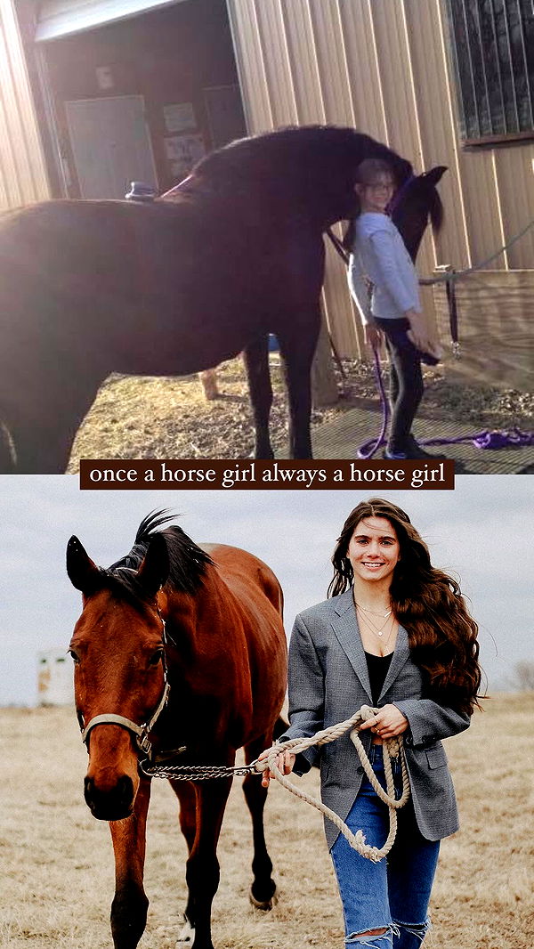 mckinley_1 image ~ Altpins