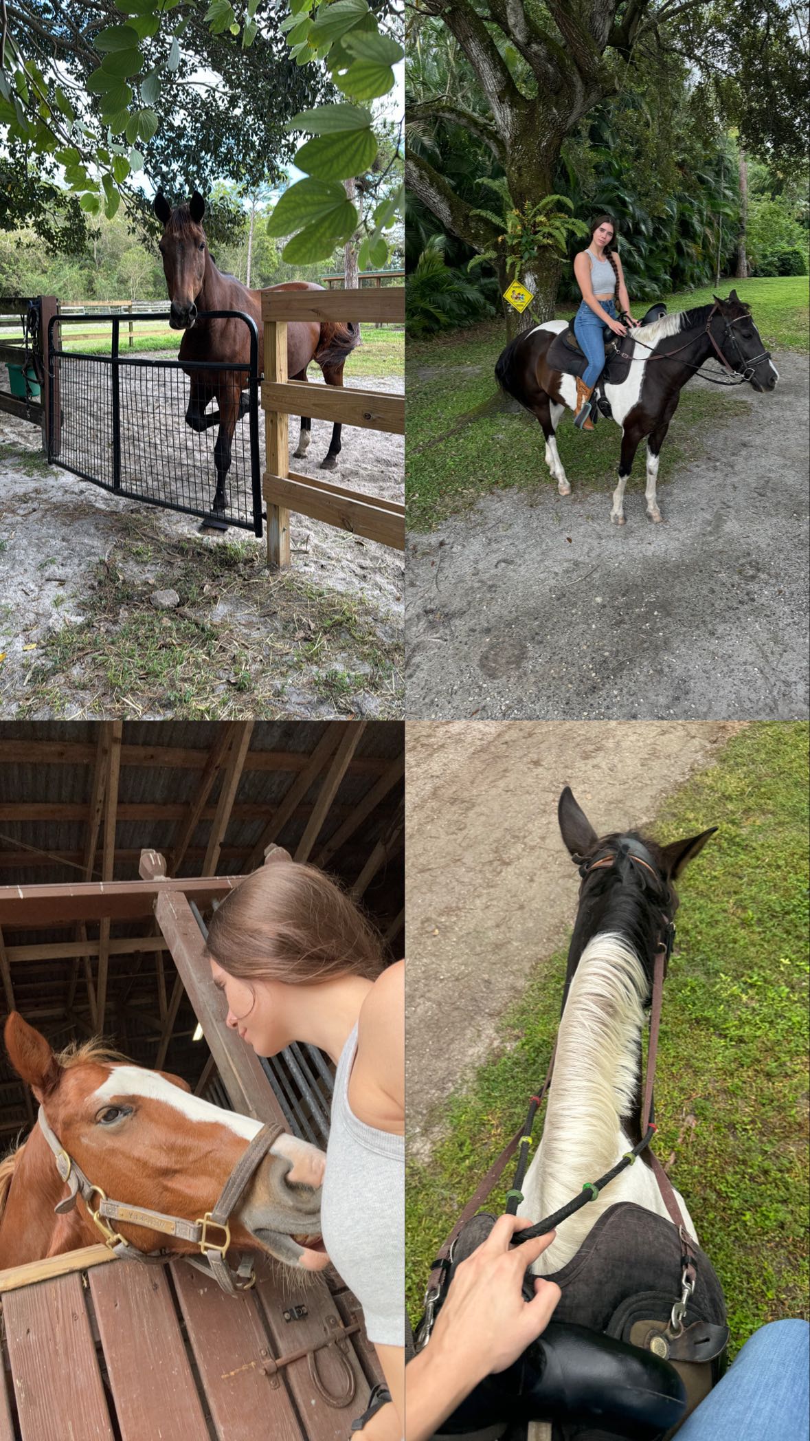 mckinley_1 snapchat image archive image