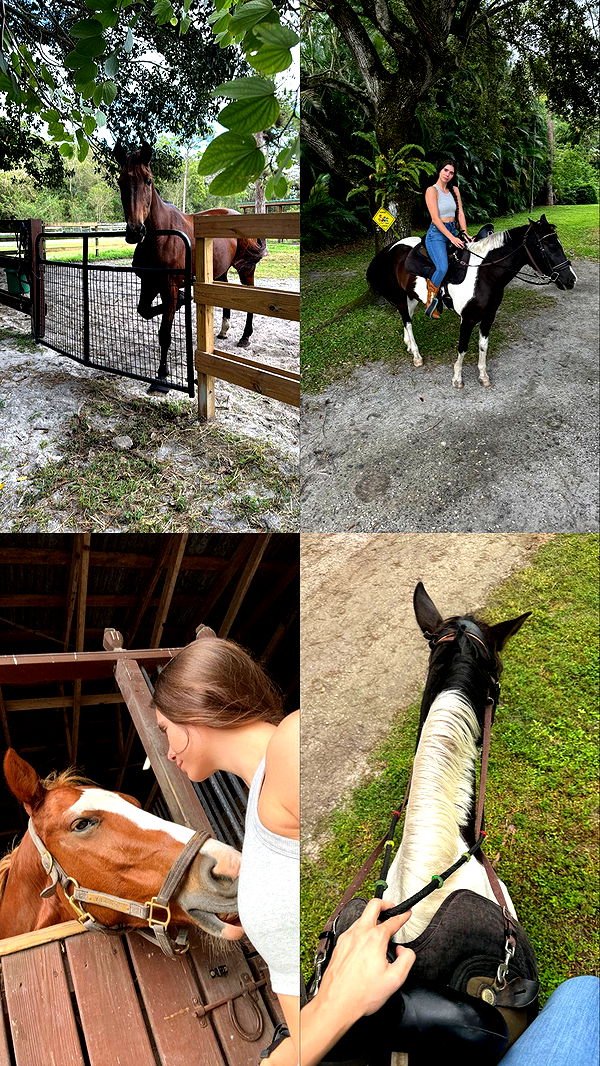 mckinley_1 image ~ Altpins