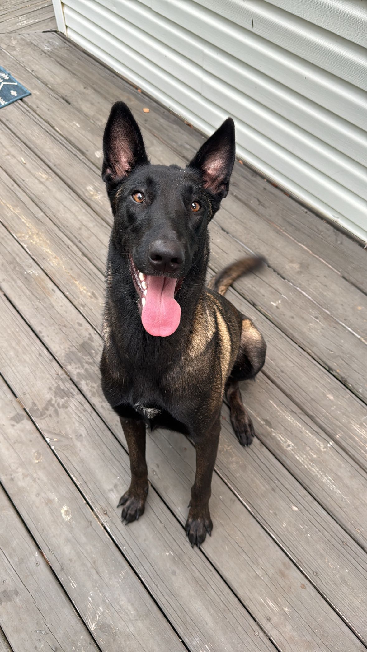 mckinley_1 snapchat image archive image