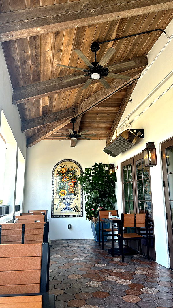 mckinley_1 image ~ Altpins