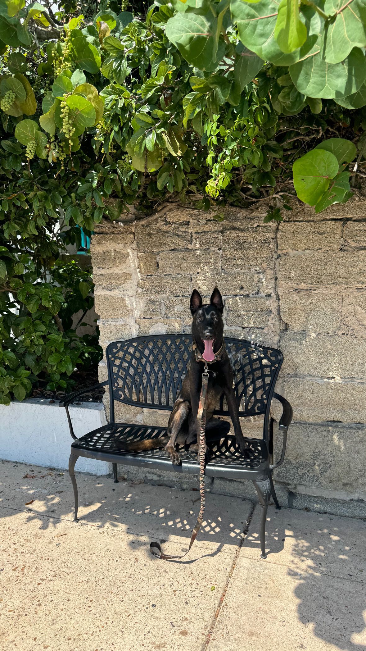 mckinley_1 snapchat image archive image