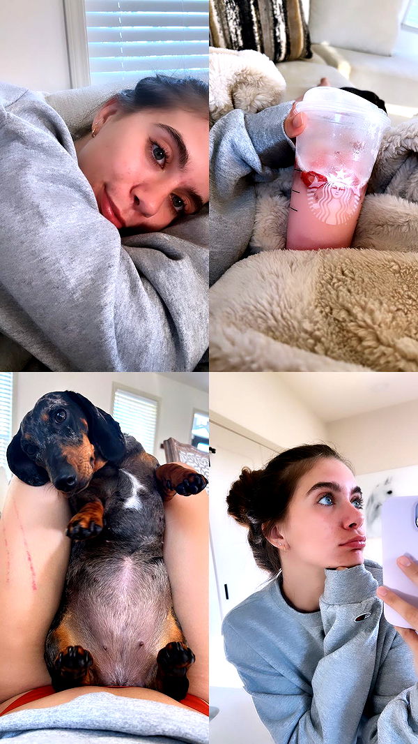 mckinley_1 image ~ Altpins