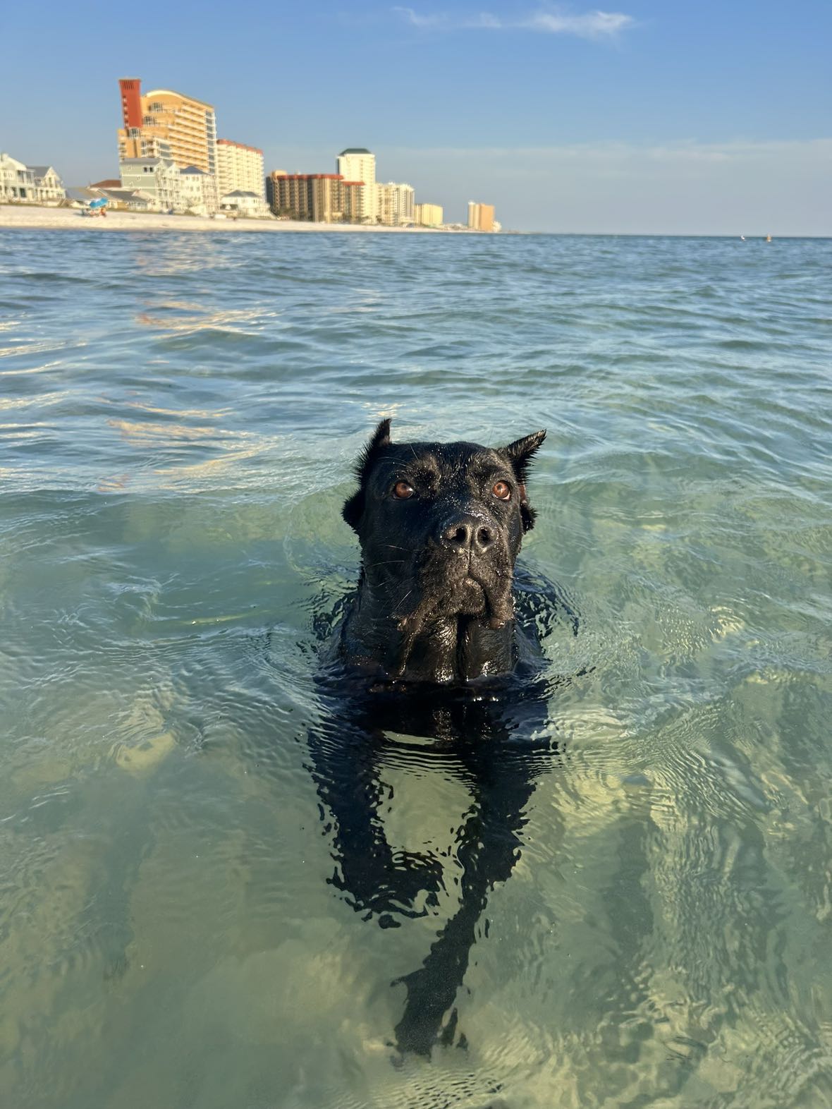 mckinley_1 snapchat image archive image