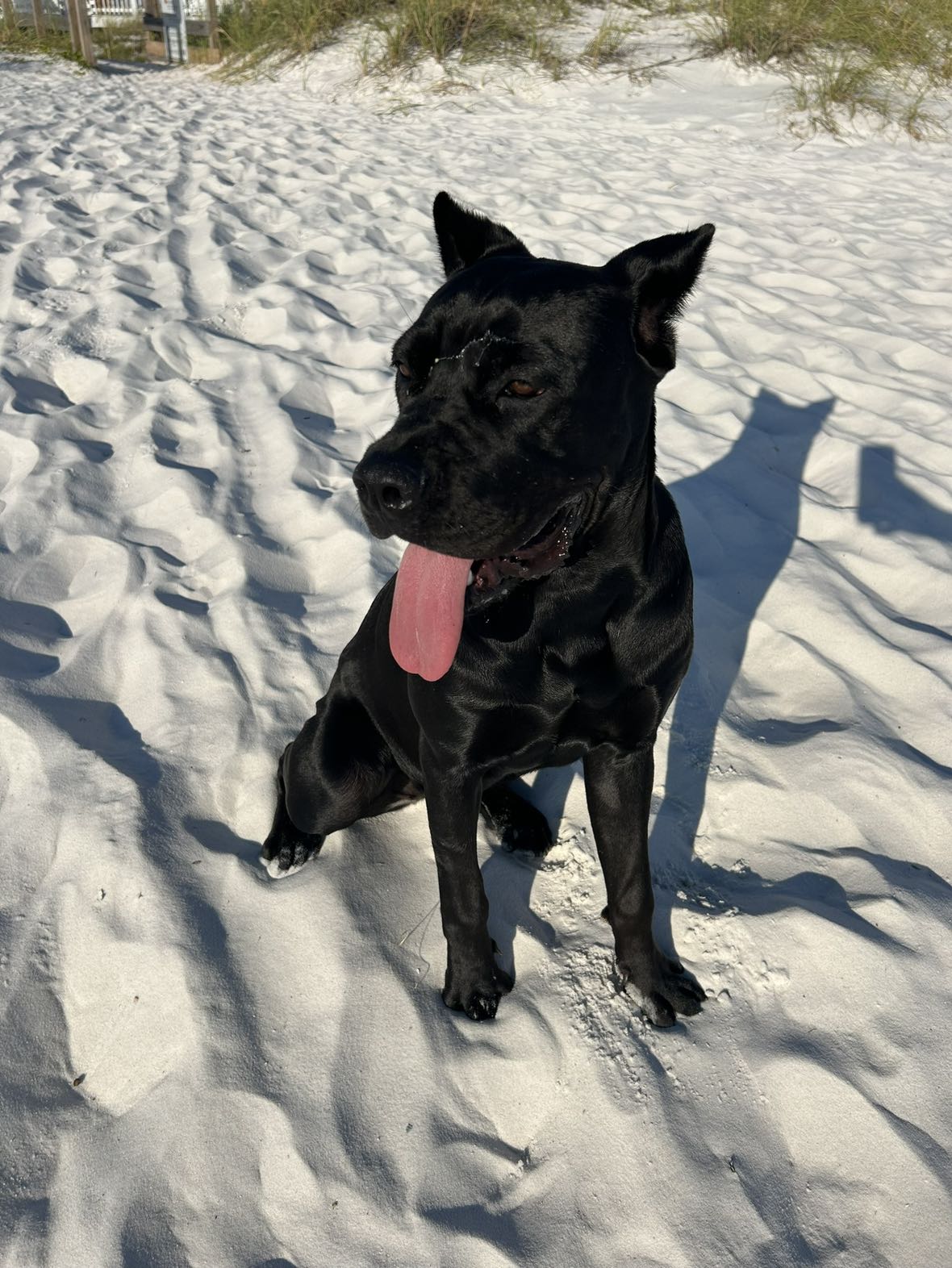 mckinley_1 snapchat image archive image