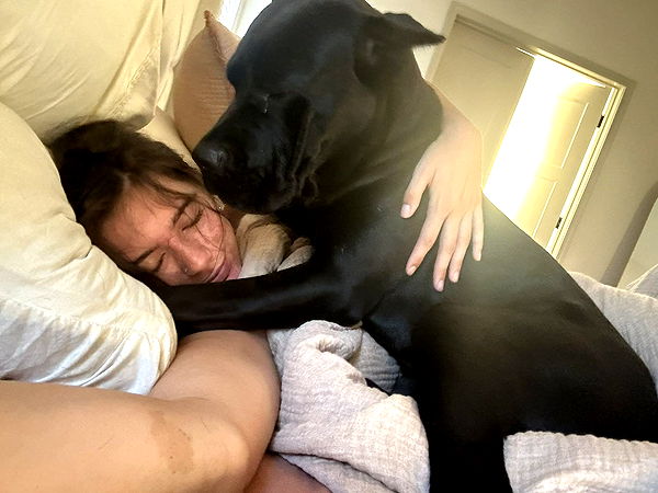 mckinley_1 image ~ Altpins