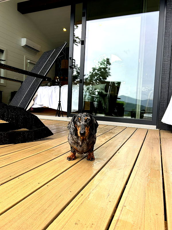 mckinley_1 image ~ Altpins