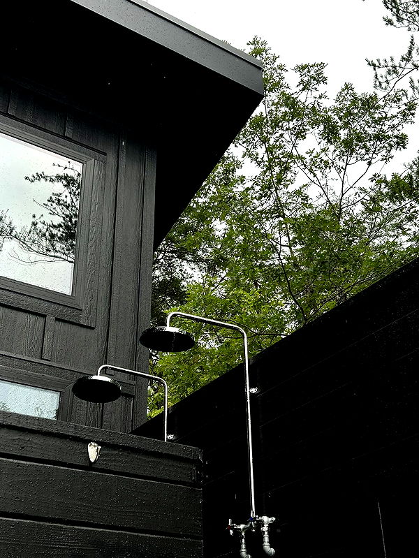 mckinley_1 image ~ Altpins