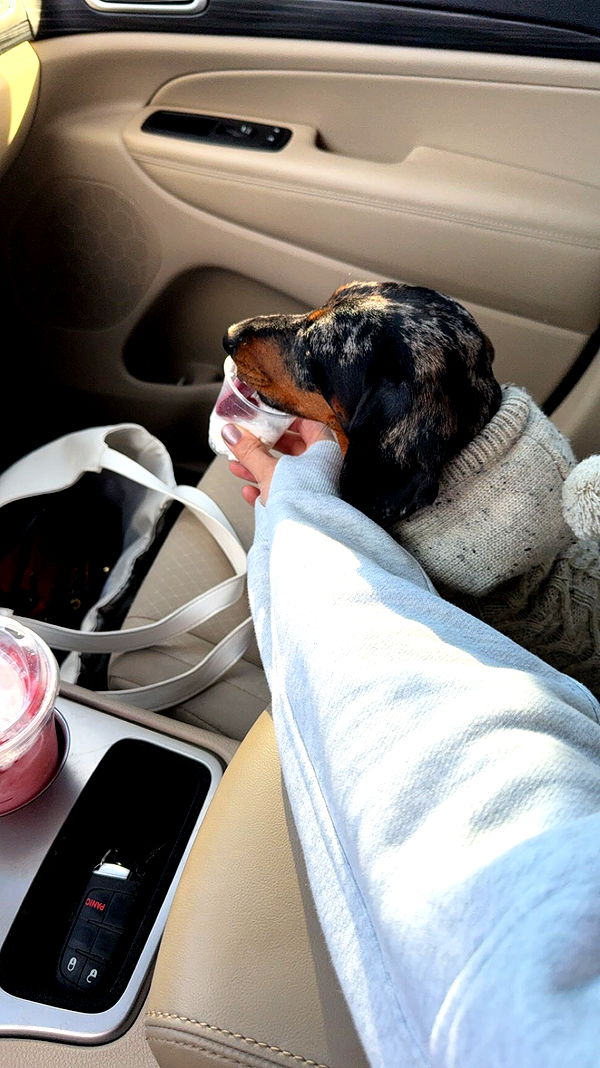 mckinley_1 image ~ Altpins