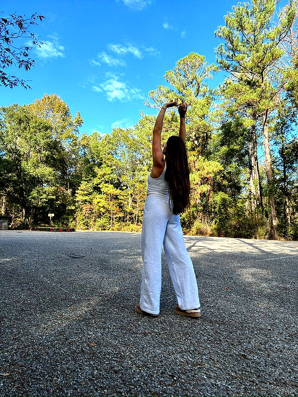 mckinley_1 image ~ Altpins