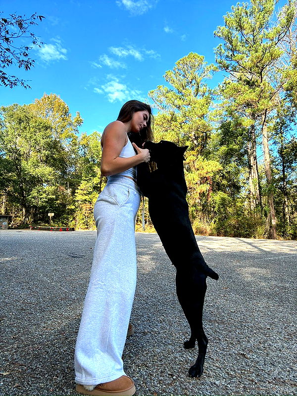 mckinley_1 image ~ Altpins