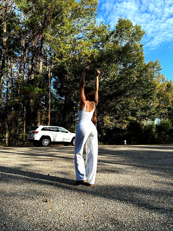 mckinley_1 image ~ Altpins