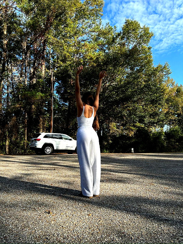 mckinley_1 image ~ Altpins