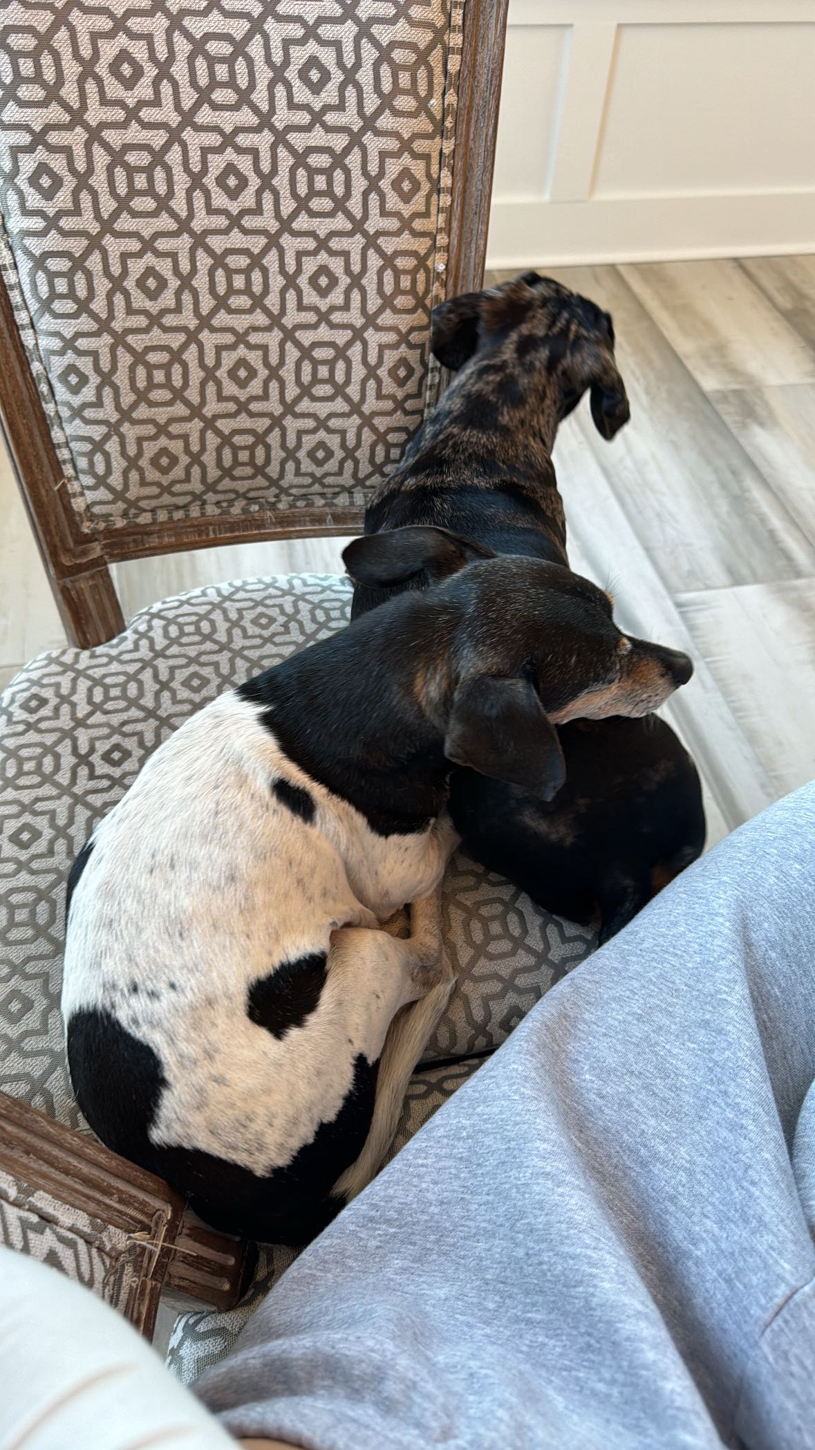 mckinley_1 snapchat image archive image