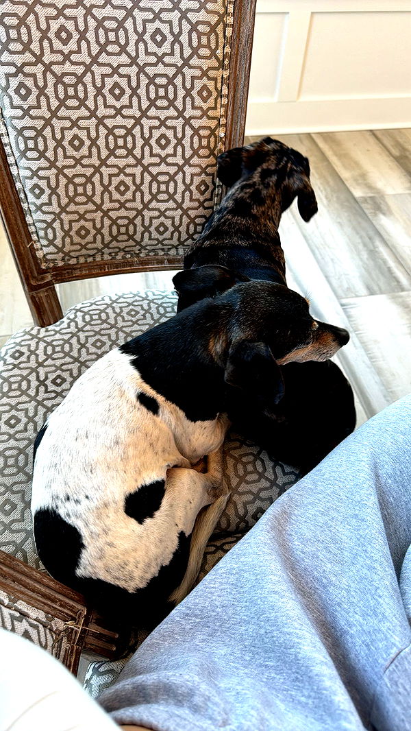 mckinley_1 image ~ Altpins