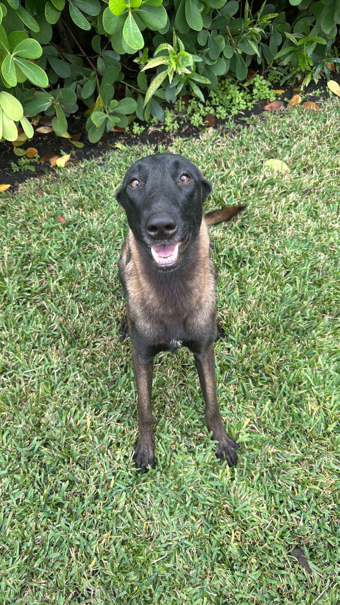 mckinley_1 snapchat image archive image