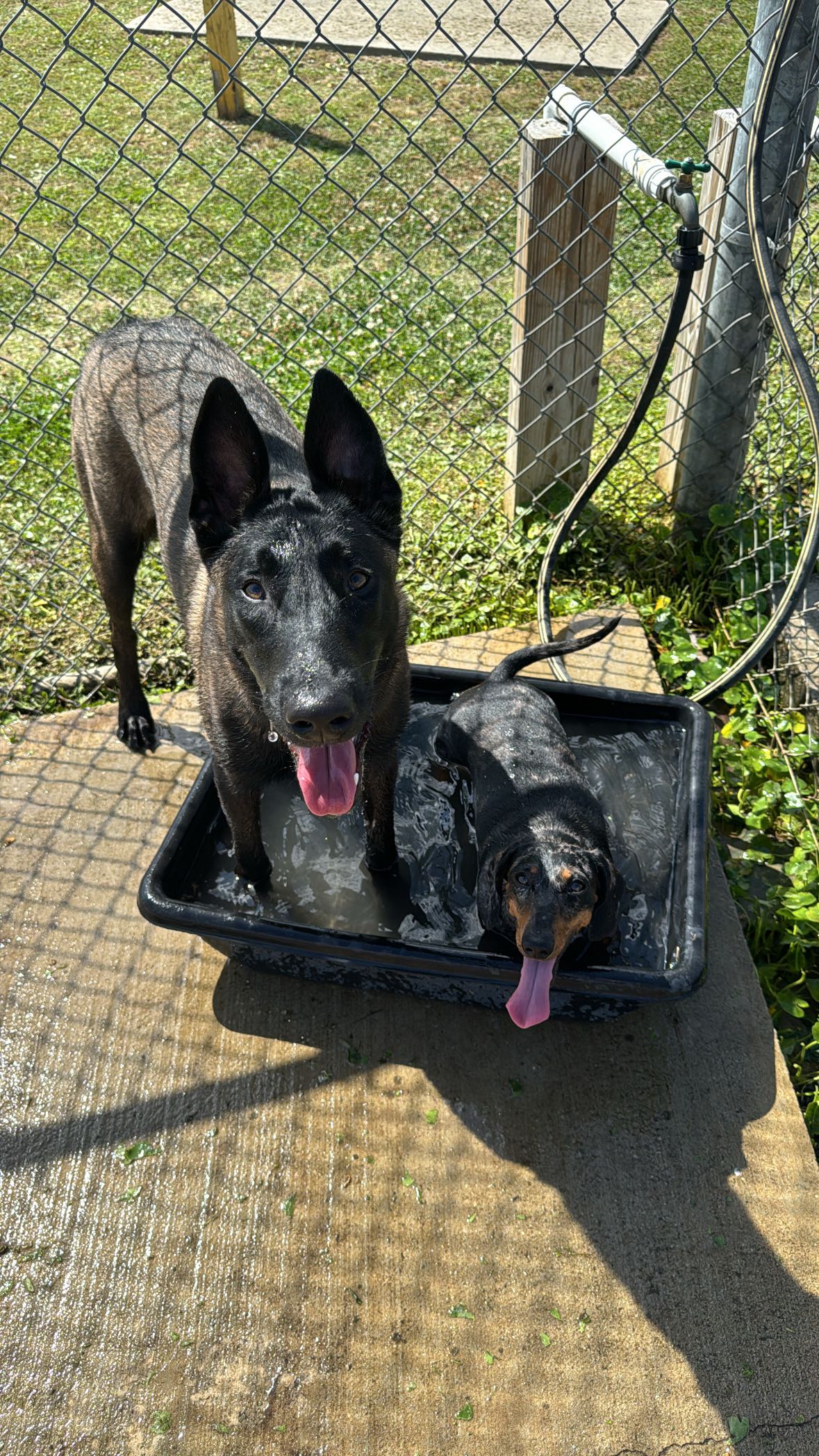 mckinley_1 snapchat image archive image