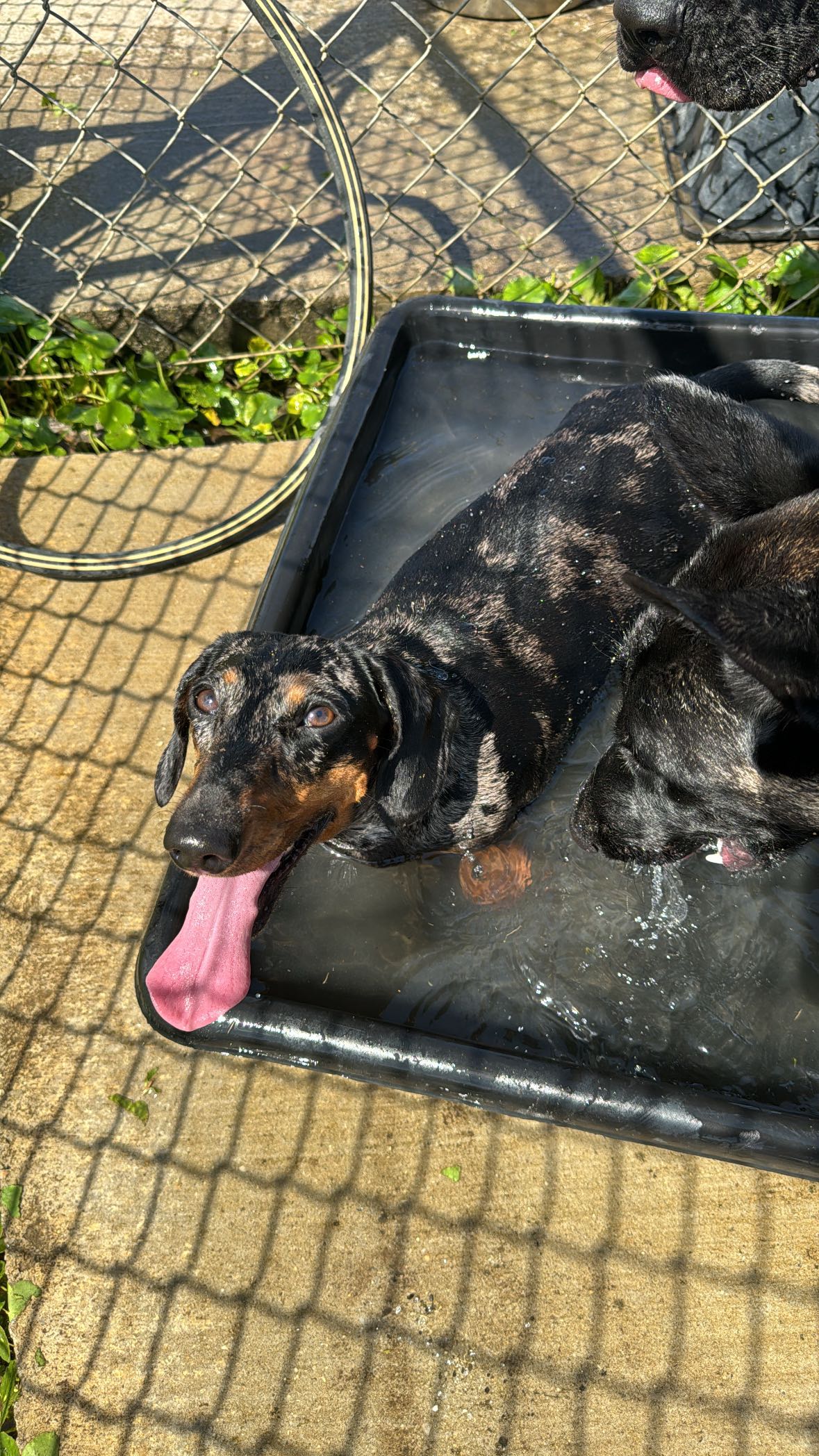 mckinley_1 snapchat image archive image