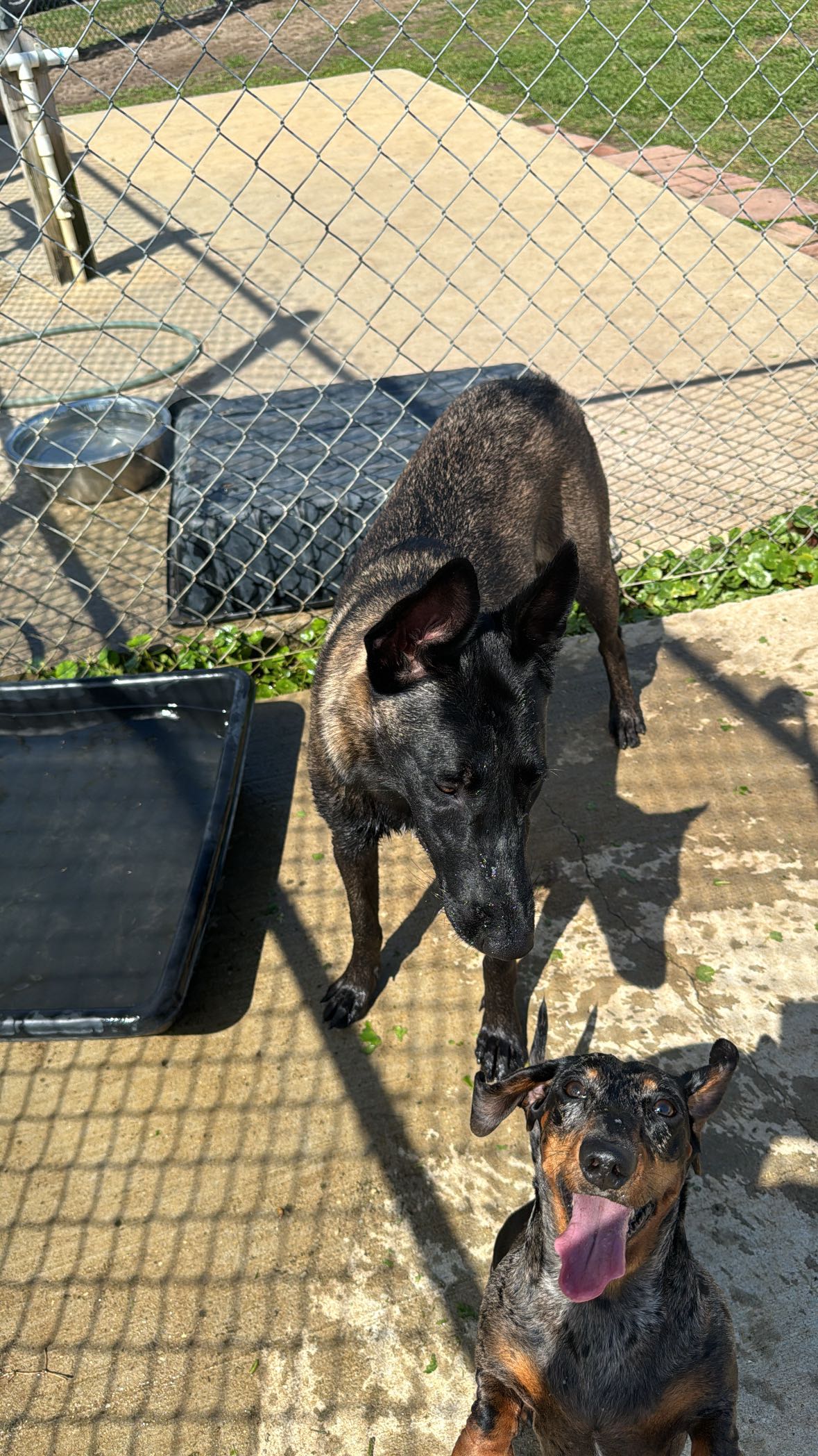 mckinley_1 snapchat image archive image