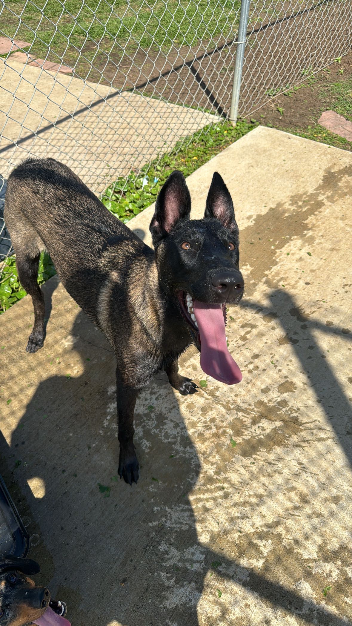 mckinley_1 snapchat image archive image