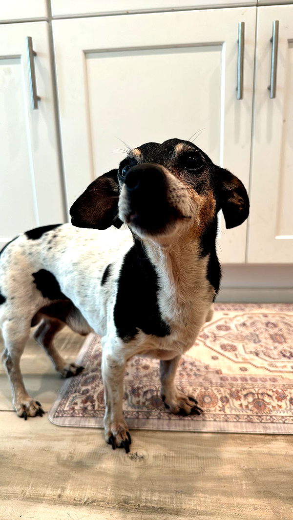 mckinley_1 image ~ Altpins