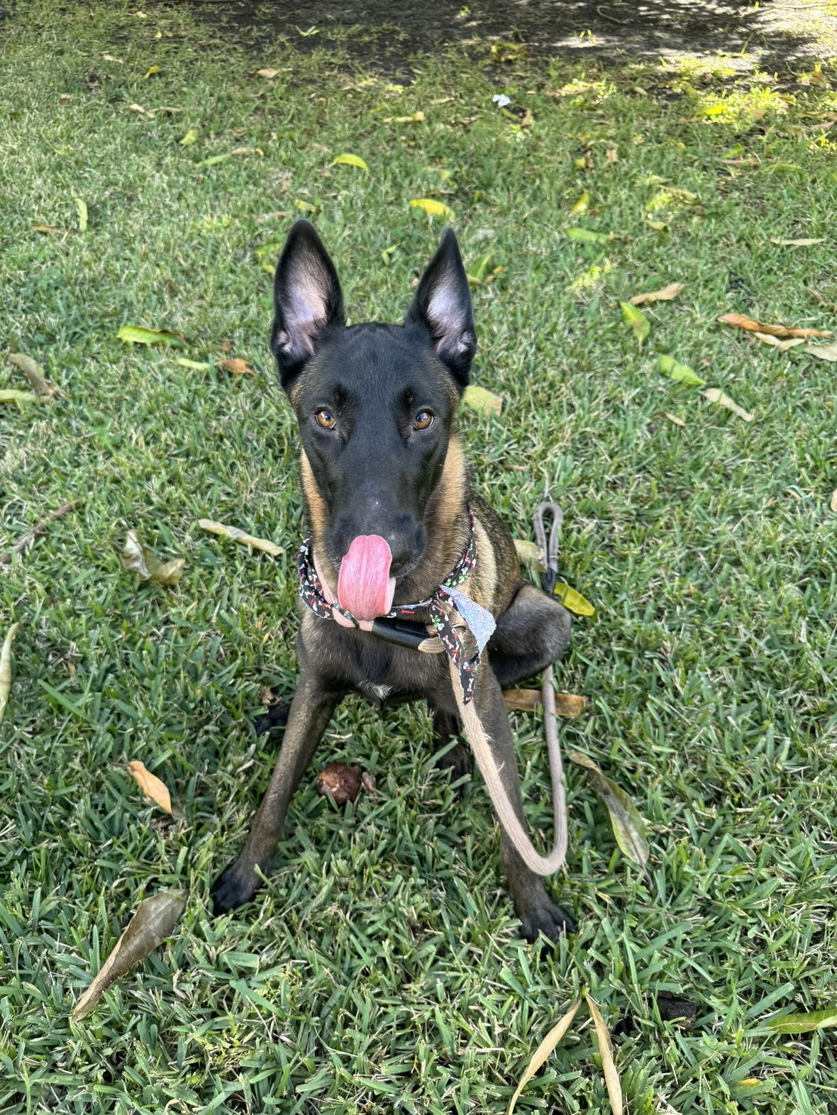 mckinley_1 snapchat image archive image