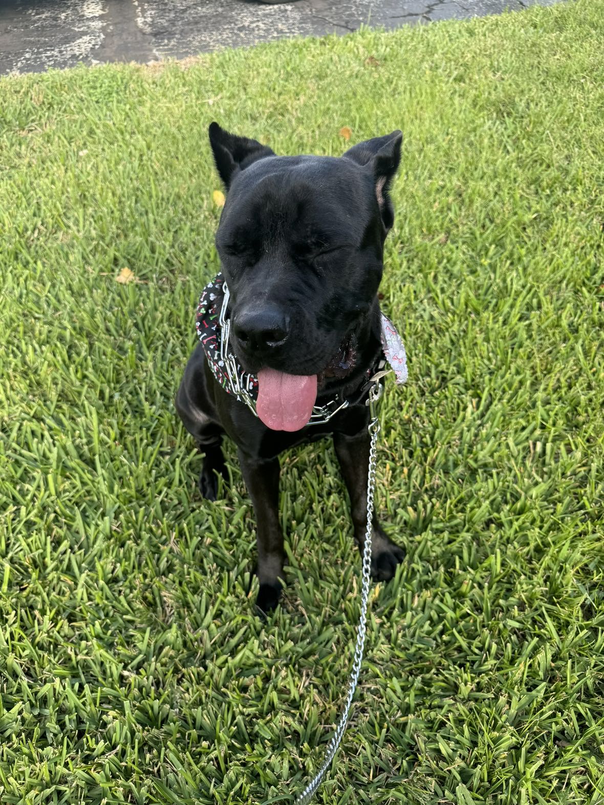 mckinley_1 snapchat image archive image