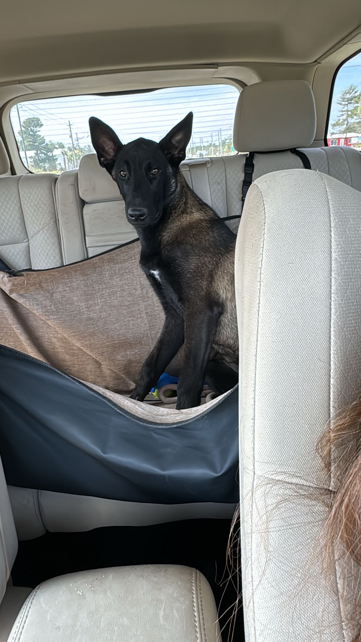 mckinley_1 snapchat image archive image