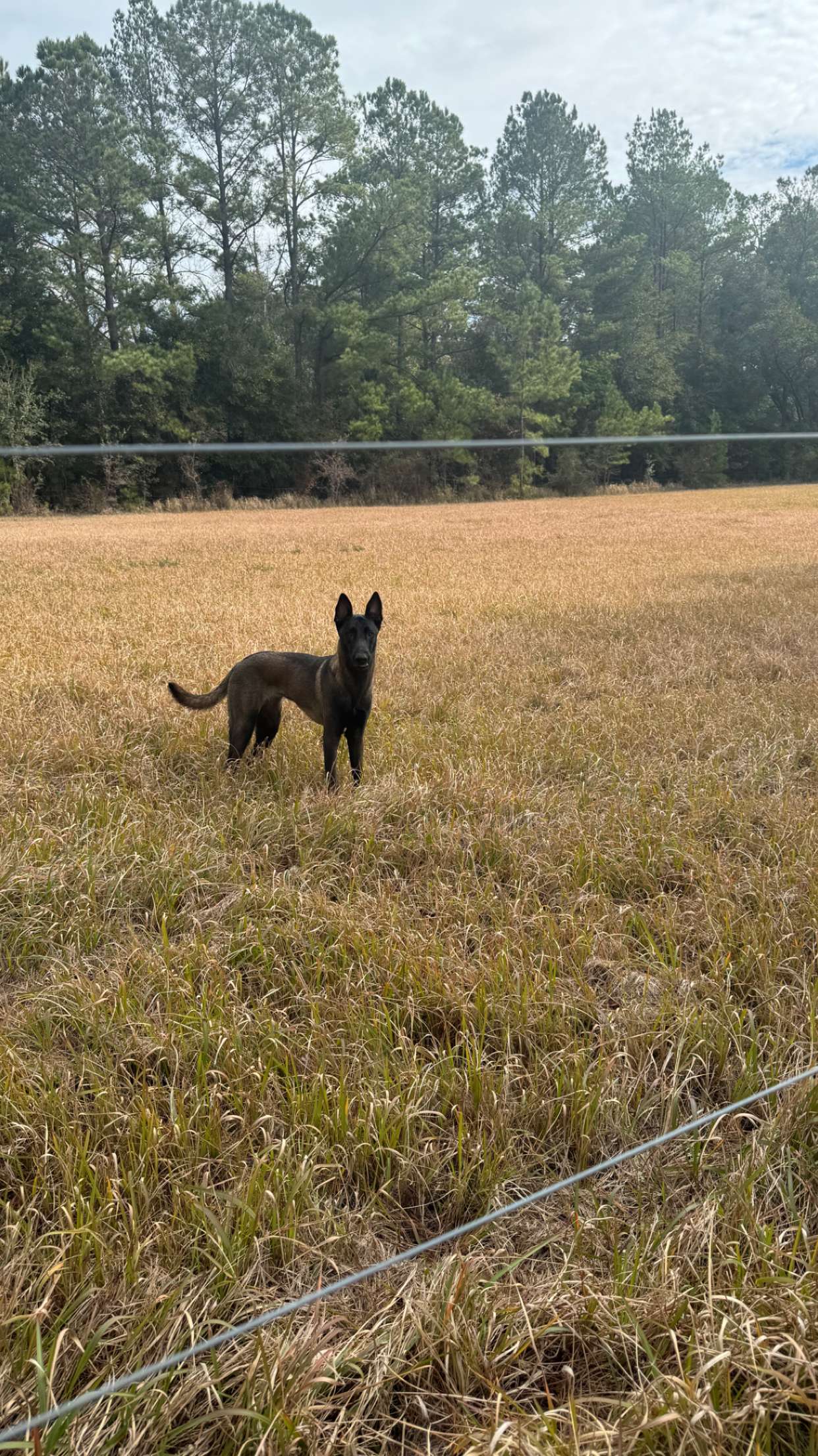 mckinley_1 snapchat image archive image